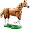Beautiful Horse